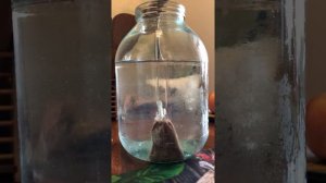 Растворимый ПВА пакет для рыбалки который не стоит покупать на AliExpress