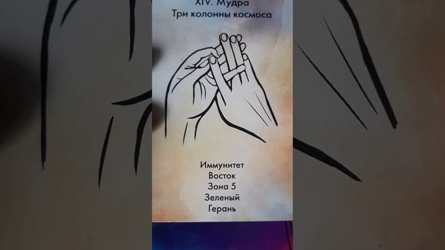 Карта, мудра и совет на 27.11.23 смотреть онлайн