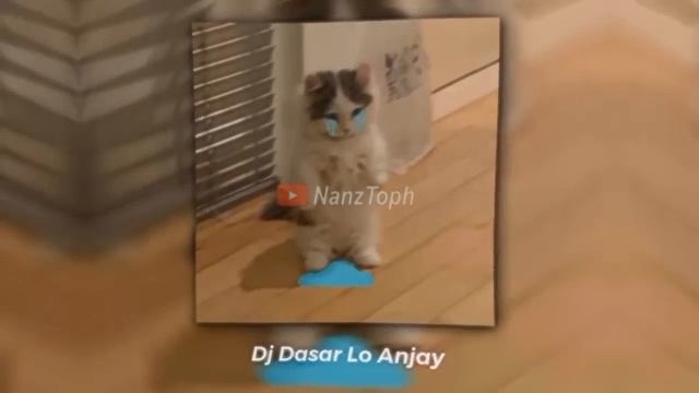 Kumpulan Dj Old 2019, 2020, 2021 Viral Part 3
