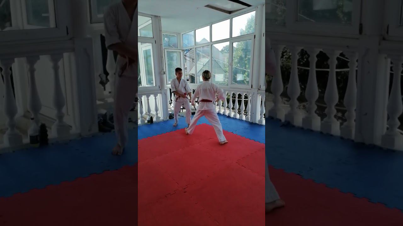 Тренировка по айкидо в Сочи: цки - сихо наге ура, 15.07.2024. #shorts