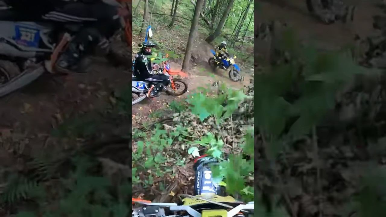 22 августа 2023 г. смотреть онлайн