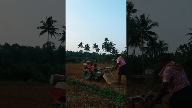 Tilling land for amaranthus cultivation смотреть онлайн