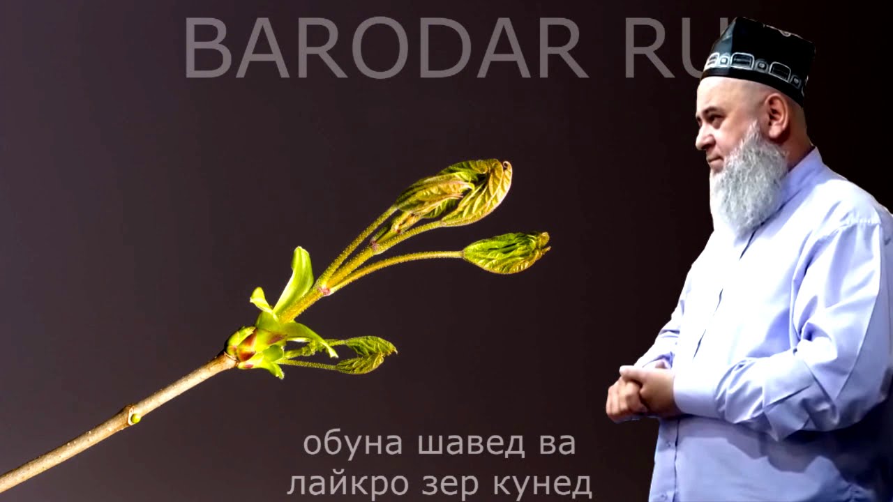 ХОЧИ МИРЗО  - САВОЛУ ЧАВОБ
