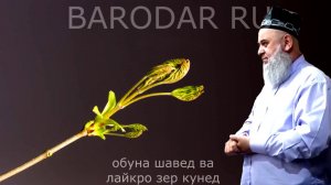 ХОЧИ МИРЗО  - САВОЛУ ЧАВОБ