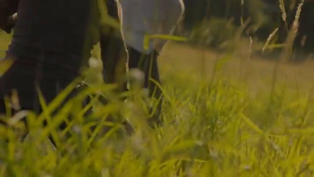 Simon Khorolskiy – Косари на лугу.mp4