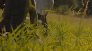 Simon Khorolskiy – Косари на лугу.mp4