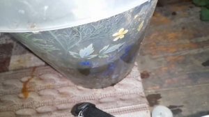 Быстрое удаление ржавчины с железа, патины с латуни, меди, бронзы.