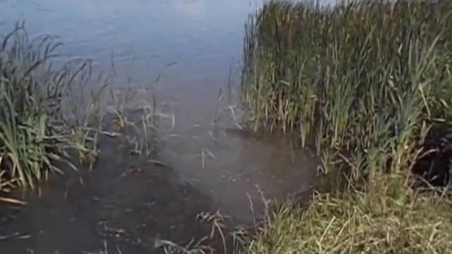 рыбалка на Новотроицком водохранилище у х Смыков.... смотреть онлайн