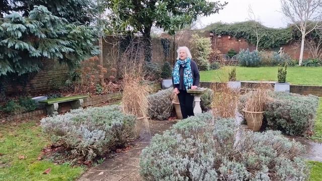 What To Do In The Garden In Mid Winter | January Gardening Guide