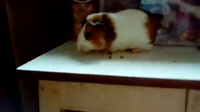 Что происходит перед съемками... смотреть онлайн