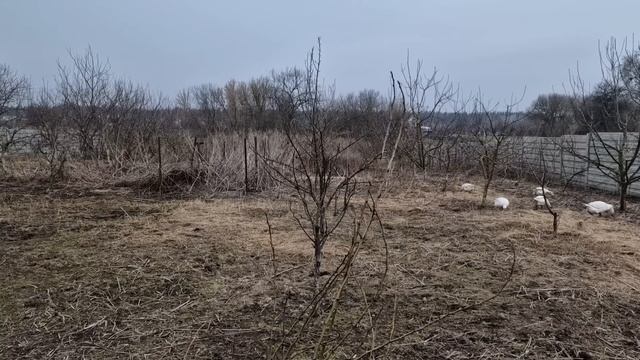 продолжаем убирать сад!