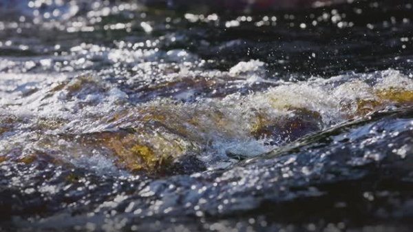 Winter was left - Spring is coming [nature clip]