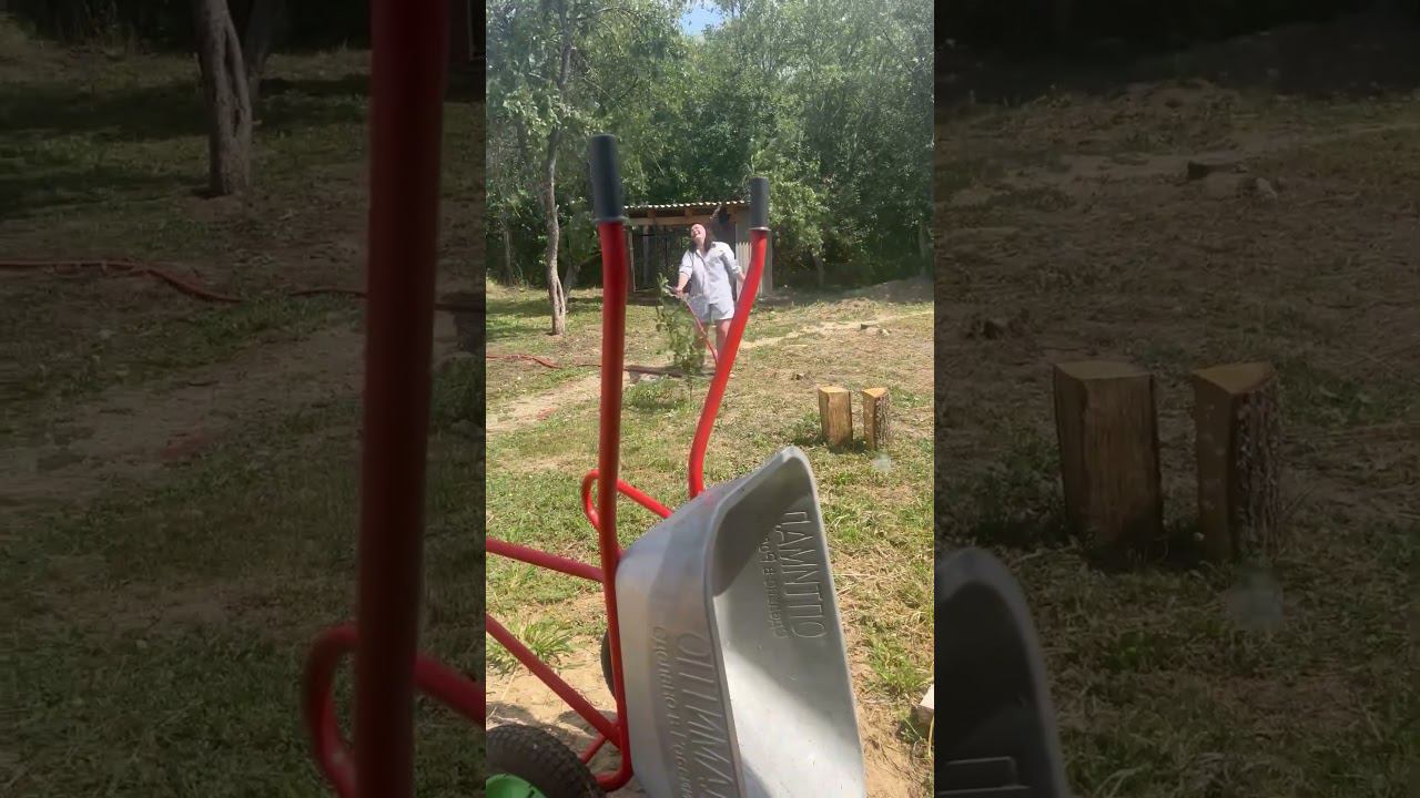 Поиграла с малышом Байкалом) а у собак бывают феи крестные? Если так то я его фея)