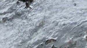 Эдд стафорд выживание в суровых условиях Норвегии.