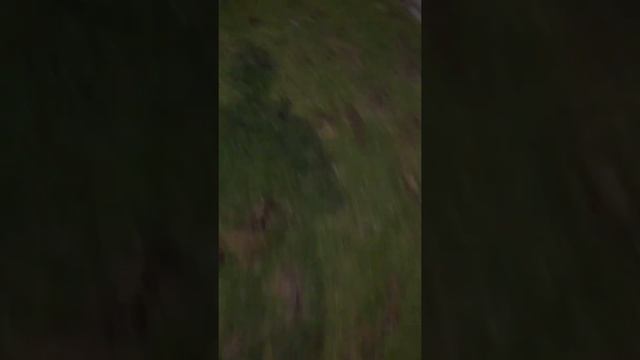 Nice Renault Megane/Scenic 15”hubcap Find