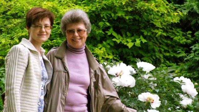 Лето, ах Лето смотреть онлайн