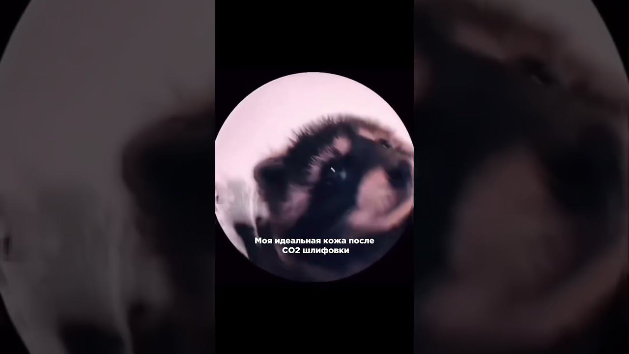❌ ШЛИФОВКА ЛЕТОМ ЗАПРЕЩЕНА! смотреть онлайн