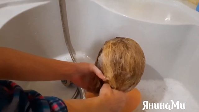 ?Как мыть манекен для причёсок?