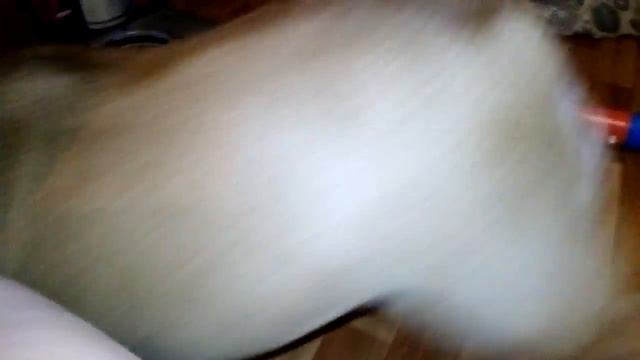 Капец квартире)))) смотреть онлайн