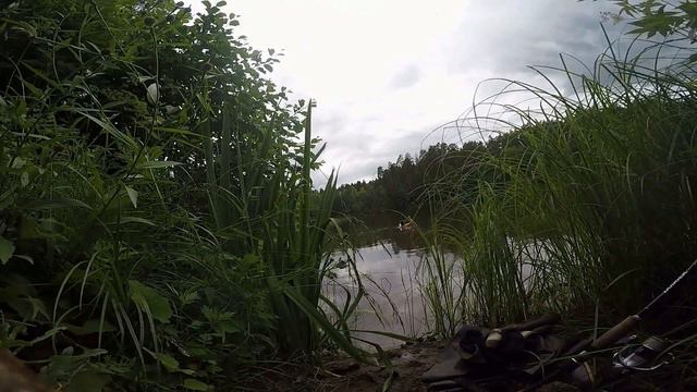 Жабовник. Затерянное Озеро Подмосковья. смотреть онлайн