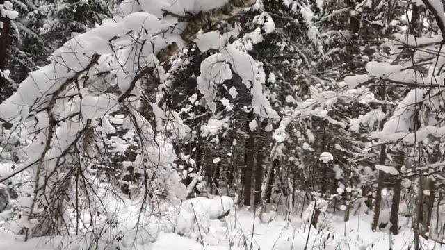 УАЗик и природа | Охладел к машине, хочу в поход! смотреть онлайн