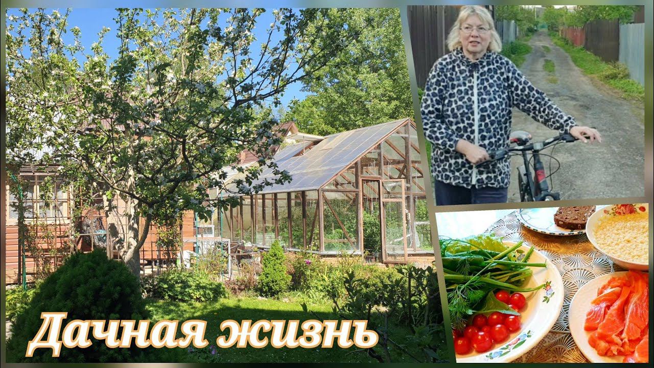 Vlog На даче Каждый год одно и тоже. Жара в теплице. Продукты из "Чижика" Филе курицы с грибами смотреть онлайн