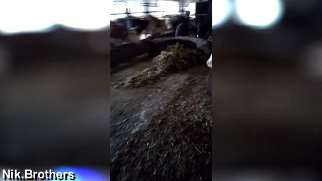 Резиновая лопата к трактору\Rubber shovel to the tractor смотреть онлайн