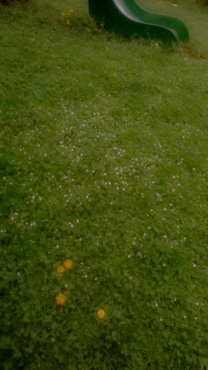 Продаю украшение