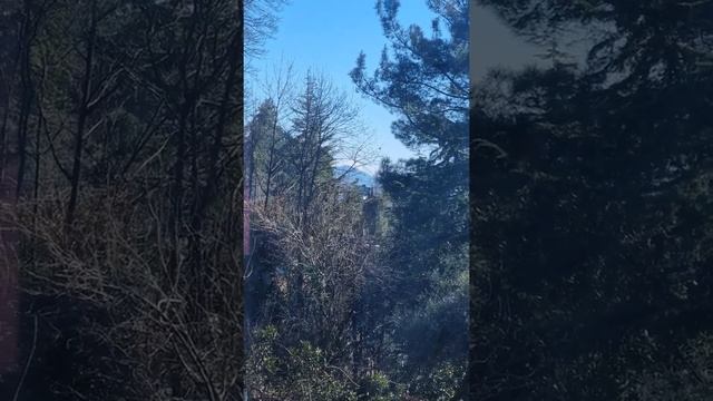 купить дом в Сочи по цене квартиры! супер дом у моря по акции! 8919444-66-55 Мамайка. КП ландышевая смотреть онлайн