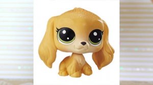 LPS: КАК ИЗМЕНИЛИСЬ ГЕРОИ ПОПУЛЯРА (LPS POPULAR)