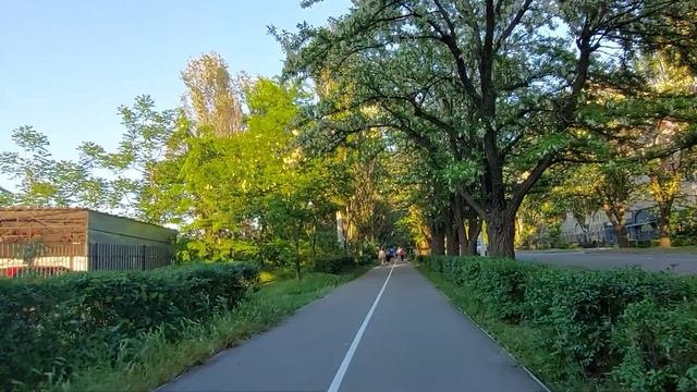 ОБЗОР ПЕРВОЙ В МЕЛИТОПОЛЕ ВЕЛОДОРОЖКИ. смотреть онлайн