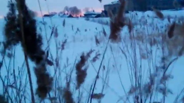 слежка за куропатками! смотреть онлайн