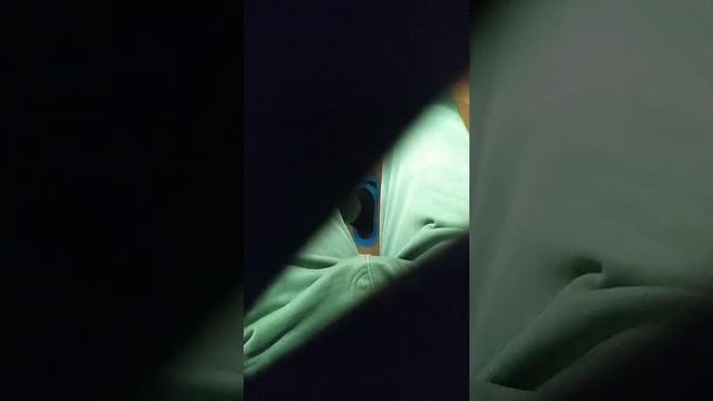 Обзоры на коленях #1 - обзор на перчатки для подтягиваний. смотреть онлайн