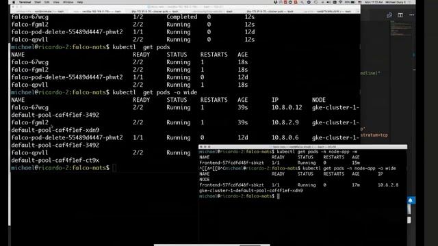 Behind The Scenes at OpenShift Commons: Falco with Michael Ducy (Sysdig) смотреть онлайн