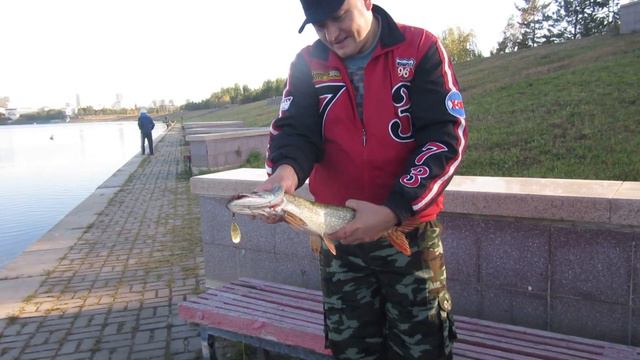 Щука в городе. Астана 2017 смотреть онлайн