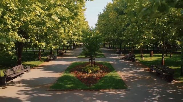 Красивая и добрая социальная реклама Экология смотреть онлайн