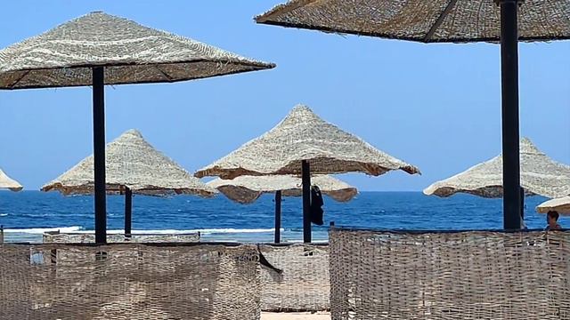 Pickalbatros Sans Port Ghalib 5* 5/2022