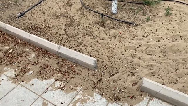 June 26. Дачные олеандры улучшат настроение..! смотреть онлайн