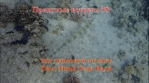 Приятные встречи 58 Флейта под душевную музыку Dave Monk Тема Надя