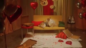 2 кусочка пицы клип