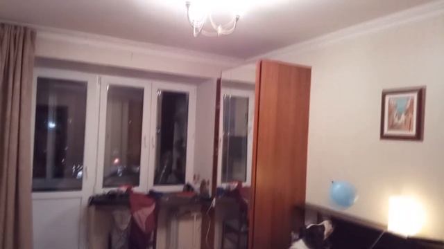 #1 | Бордер Колли | Чем занять собаку дома? смотреть онлайн