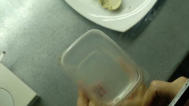 [81] Культура зародыша / Павловский лимон / Ламинарный бокс v2 почти готов смотреть онлайн