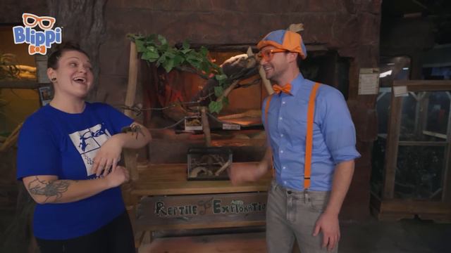Blippi Meets Reptile Friends at the Aquarium | Educational Videos for Kids смотреть онлайн