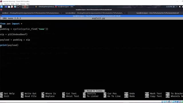 Intro To Pwntools (TryHackMe) - 0x05 смотреть онлайн