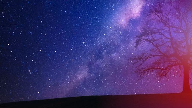 Загадай желание. Дерево желаний исполнит твоё желание. Смотри перед сном и думай о своем желании. смотреть онлайн