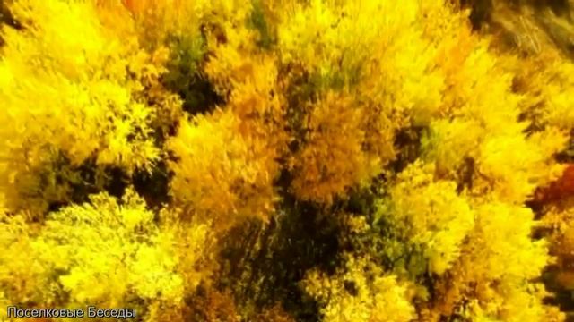 Читаю стихи Н.А. Некрасова смотреть онлайн