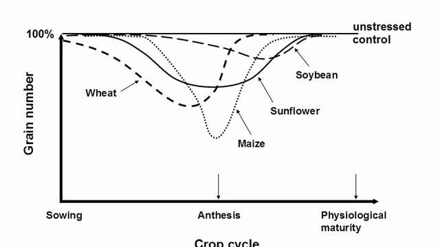 A physiological perspective of crop growth, yield, water and nitrogen use efficiency смотреть онлайн