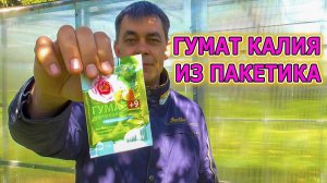 Гумат калия приготовление водного раствора из сухого порошка. Как применять гумат калия и его польза