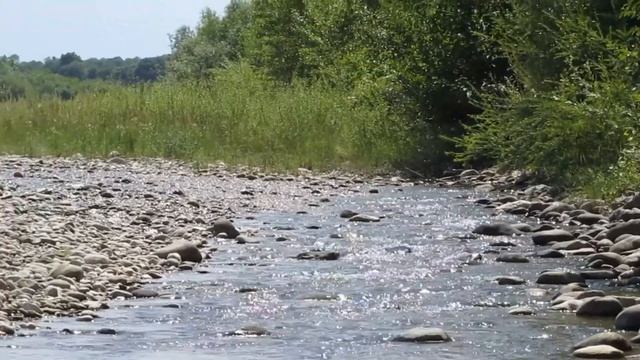 ОТДЫХ ЛЕТОМ В ДЕРЕВНЕ РЫБАЛКА НА РЕКЕ #отдых #лето #деревня #рыбалка #река смотреть онлайн