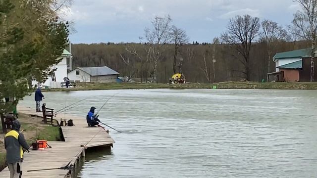 Очередная поимка форели. Клев есть смотреть онлайн